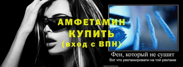 твердый Ельня